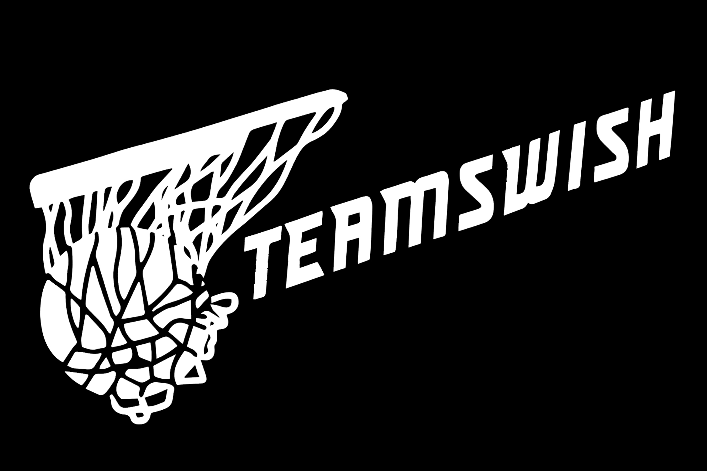 TeamSwish